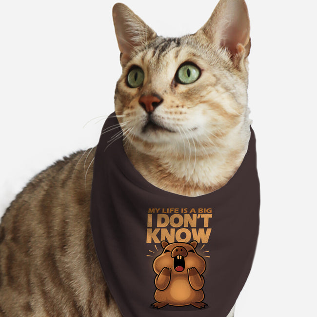 Confused Capybara-Cat-Bandana-Pet Collar-erion_designs