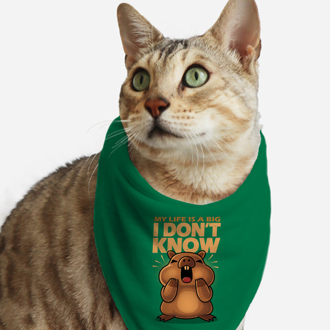 Confused Capybara-Cat-Bandana-Pet Collar-erion_designs