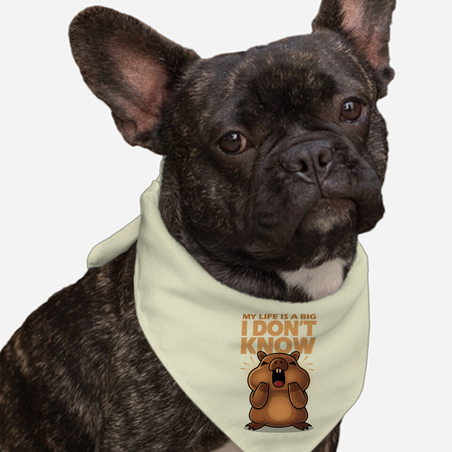 Confused Capybara-Dog-Bandana-Pet Collar-erion_designs