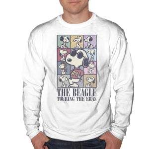 Eras Of The Beagle