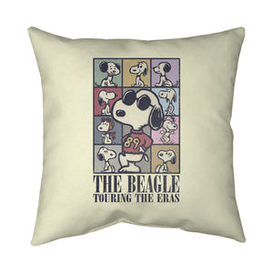 Eras Of The Beagle