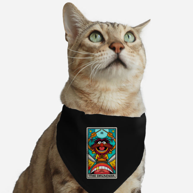 The Drummer-Cat-Adjustable-Pet Collar-drbutler