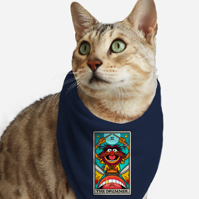 The Drummer-Cat-Bandana-Pet Collar-drbutler