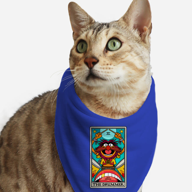 The Drummer-Cat-Bandana-Pet Collar-drbutler