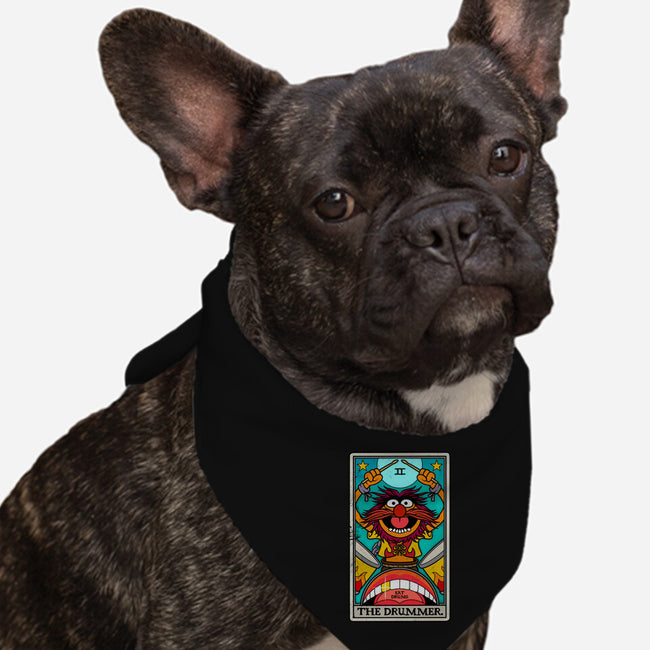 The Drummer-Dog-Bandana-Pet Collar-drbutler