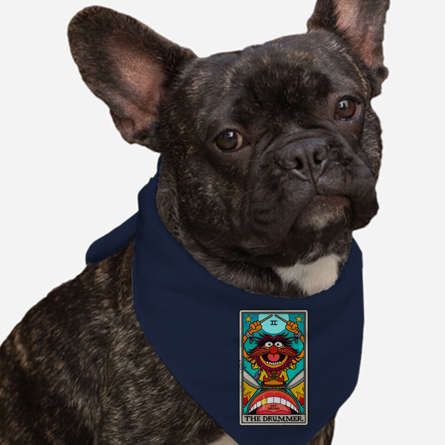 The Drummer-Dog-Bandana-Pet Collar-drbutler