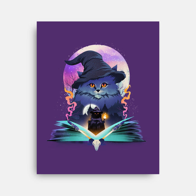 Book Of Cat Wizard-None-Stretched-Canvas-dandingeroz