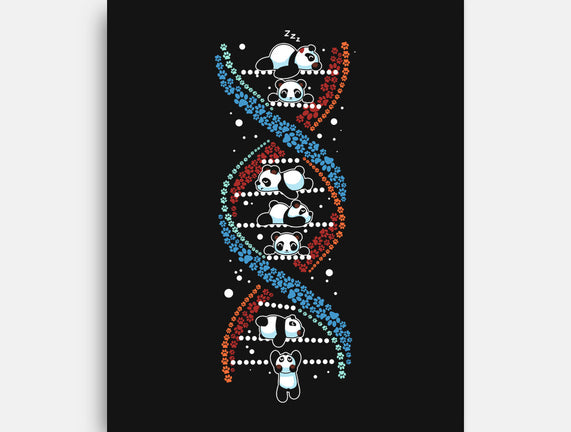 Panda's DNA