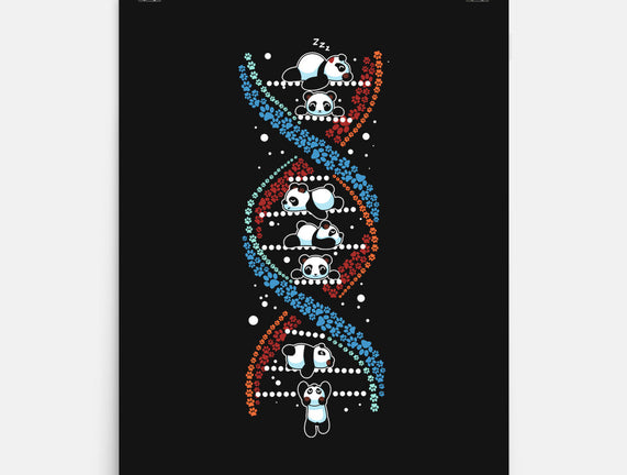 Panda's DNA