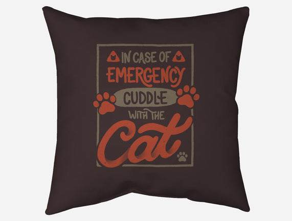 Cuddle With The Cat