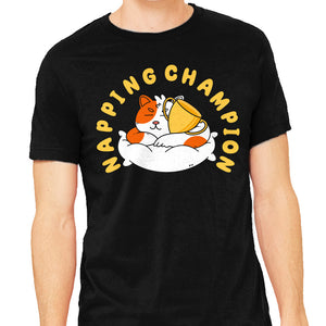 Napping Champion