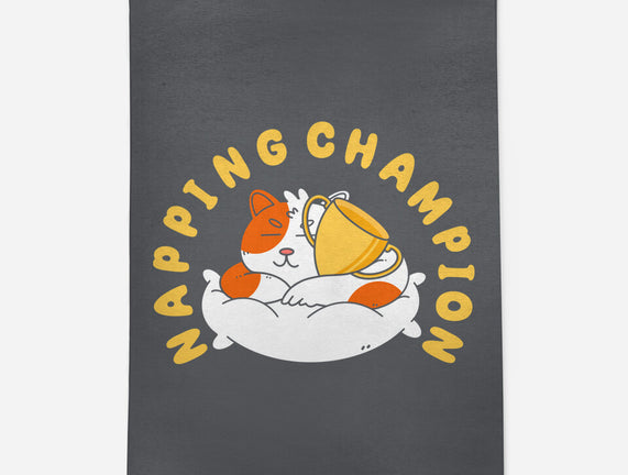 Napping Champion