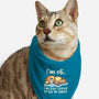 Trying To Be An Adult-Cat-Bandana-Pet Collar-NemiMakeit