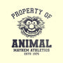 Mayhem Athletics-Dog-Adjustable-Pet Collar-kg07