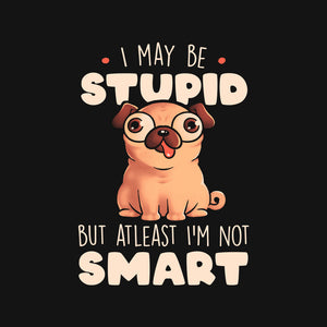 I May Be Stupid