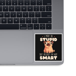 I May Be Stupid
