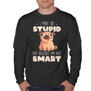 I May Be Stupid