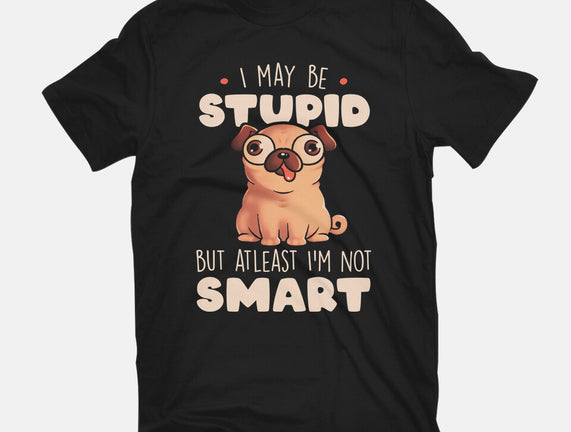 I May Be Stupid
