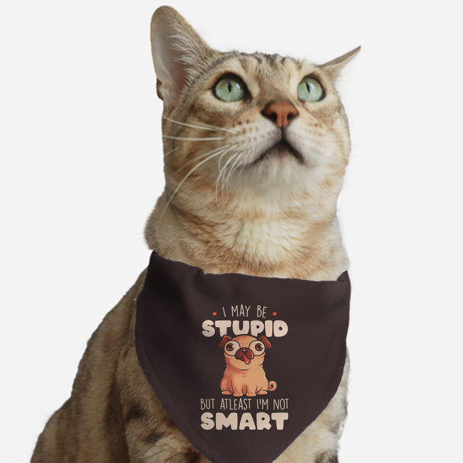 I May Be Stupid-Cat-Adjustable-Pet Collar-eduely