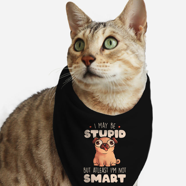 I May Be Stupid-Cat-Bandana-Pet Collar-eduely