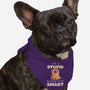 I May Be Stupid-Dog-Bandana-Pet Collar-eduely