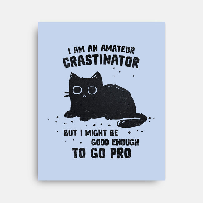 Amateur Crastinator-None-Stretched-Canvas-kg07