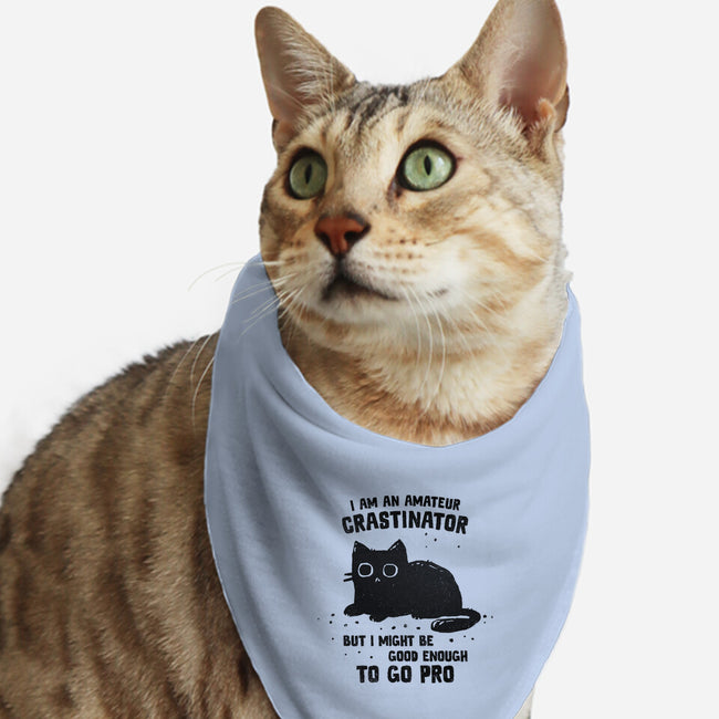 Amateur Crastinator-Cat-Bandana-Pet Collar-kg07