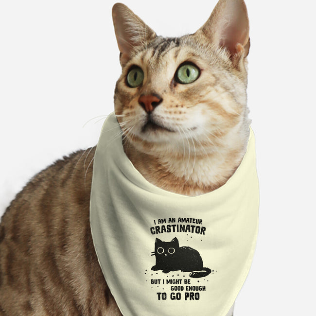 Amateur Crastinator-Cat-Bandana-Pet Collar-kg07