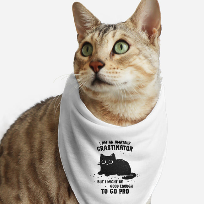 Amateur Crastinator-Cat-Bandana-Pet Collar-kg07