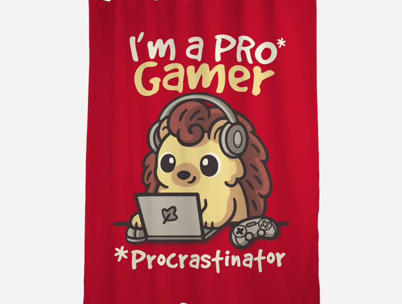 Pro Gamer Procrastinator