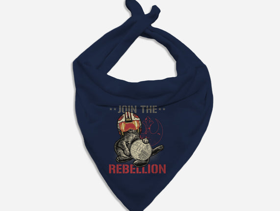 Join The Cat Rebellion