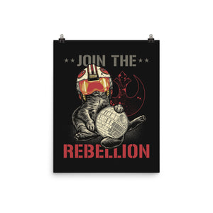 Join The Cat Rebellion