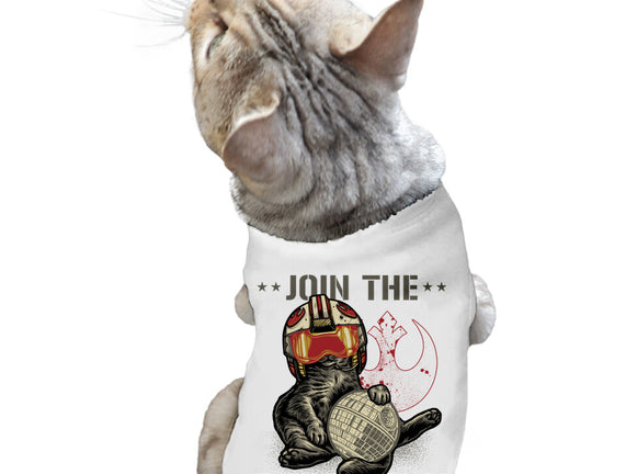 Join The Cat Rebellion
