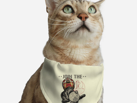 Join The Cat Rebellion