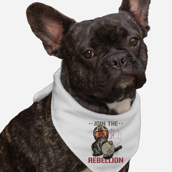 Join The Cat Rebellion-Dog-Bandana-Pet Collar-gorillafamstudio