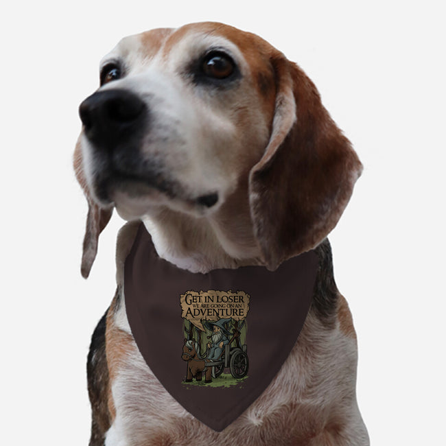 Medieval Wizard Adventure-Dog-Adjustable-Pet Collar-Studio Mootant