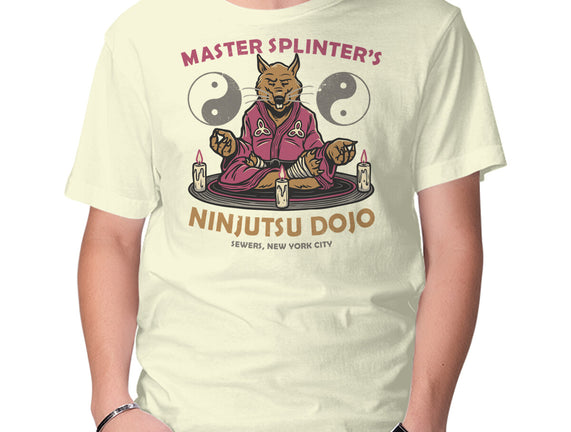 Ninjutsu Dojo
