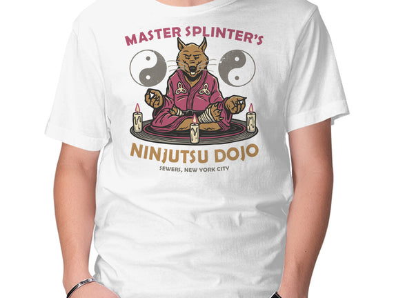 Ninjutsu Dojo