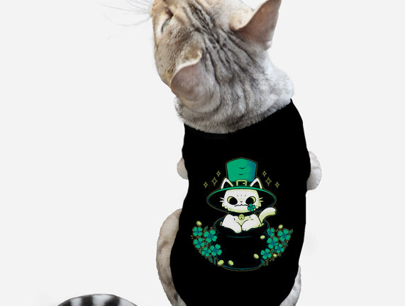 Cute St Patrick Cat