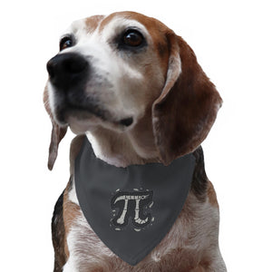 Pi-leontology