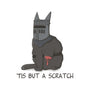Tis But A Scratch Cat-Youth-Pullover-Sweatshirt-Claudia