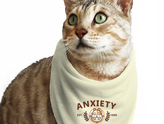 Anxiety University