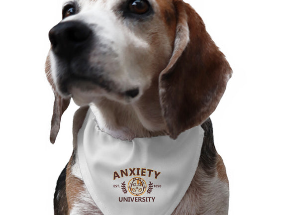 Anxiety University