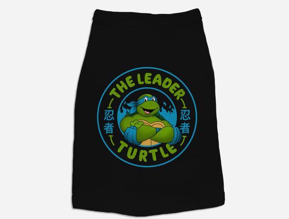 The Leader Turtle