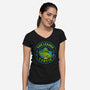 The Leader Turtle-Womens-V-Neck-Tee-Tri haryadi