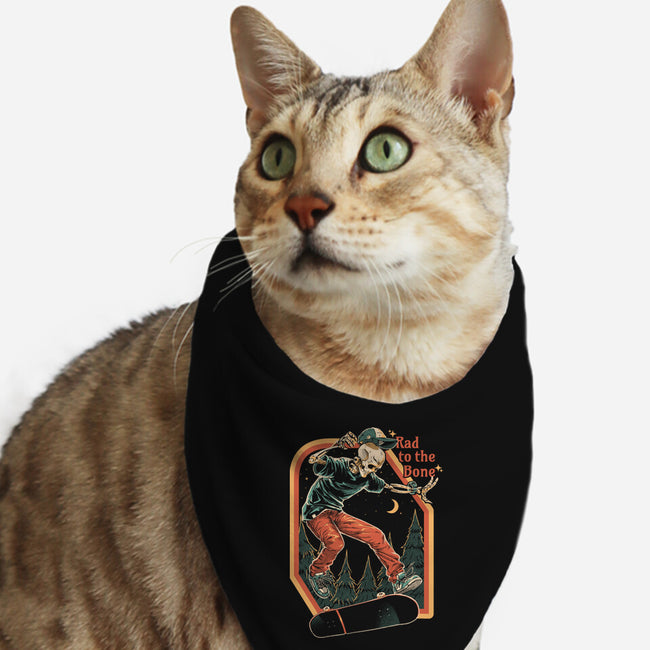 Rad To The Bone-Cat-Bandana-Pet Collar-Gazo1a