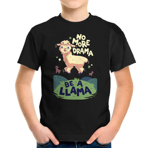 No More Drama