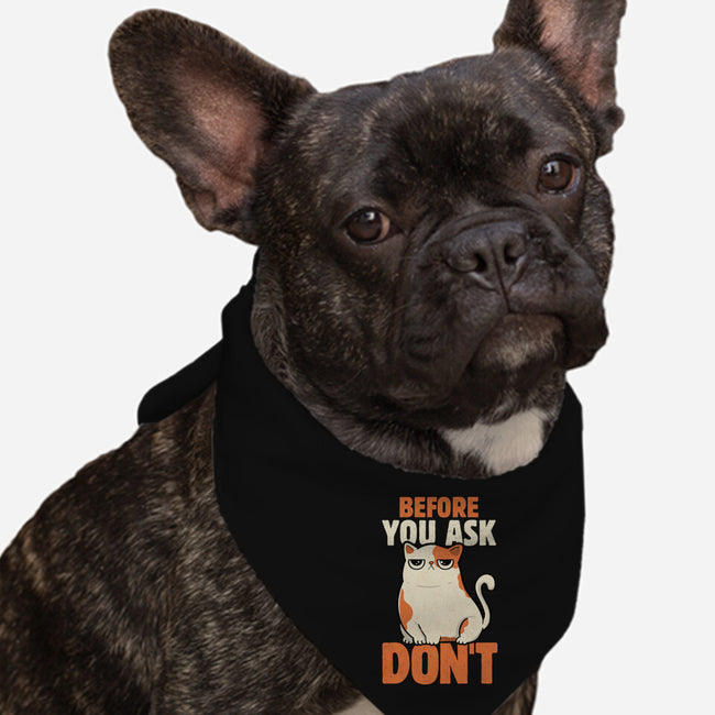 Before You Ask Don't-Dog-Bandana-Pet Collar-tobefonseca