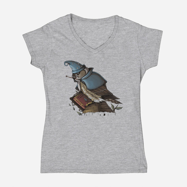 Merlin Bird-Womens-V-Neck-Tee-Vallina84