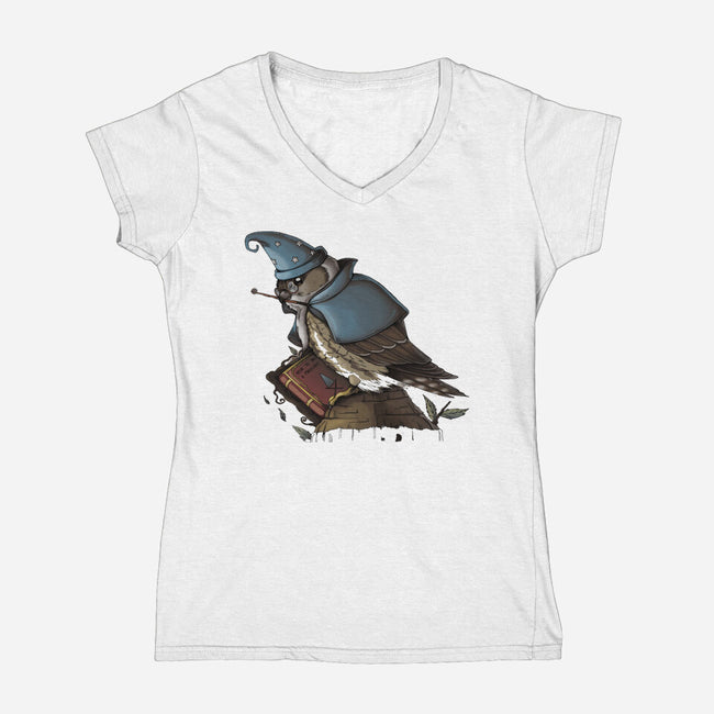 Merlin Bird-Womens-V-Neck-Tee-Vallina84